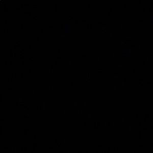 Meet your Posher, Broc